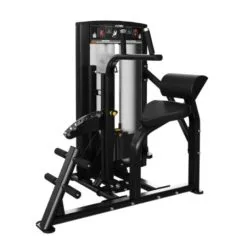 Cybex Ion Abdominal/Back Extension