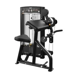 Cybex Ion Biceps Curl/Triceps Extension