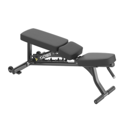 Cybex Ion Adjustable Bench