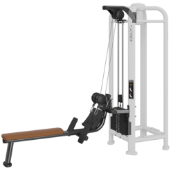 Cybex PWR Play Dual Handle Low Row