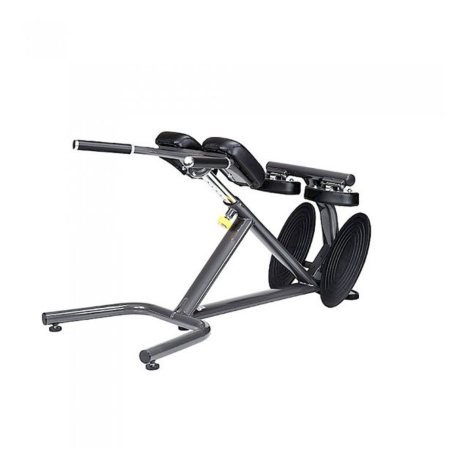 SportsArt A993 Back Hyperextension