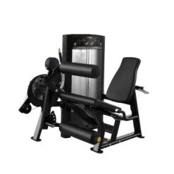 Cybex Ion Seated Leg Curl/Extension